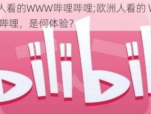 欧洲人看的WWW哔哩哔哩;欧洲人看的 WWW 哔哩哔哩，是何体验？