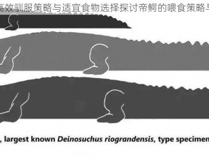 帝鳄的饲养秘诀：高效驯服策略与适宜食物选择探讨帝鳄的喂食策略与其驯化速度的关系