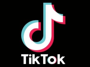 色板tiktok破解免费下载_色板 tiktok 破解免费下载助手