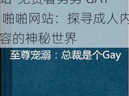 免费看男男GAY啪啪网站-免费看男男 GAY 啪啪网站：探寻成人内容的神秘世界