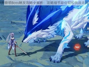 原神奔狼领Boss触发攻略全解析：攻略细节助你轻松挑战北风狼王