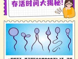 男人精子在女人体内停留多久;男人精子在女人体内能存活多久？