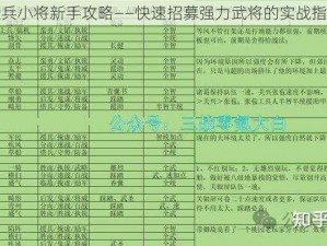 大兵小将新手攻略——快速招募强力武将的实战指南