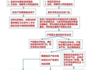 家中突发生产紧急应对指南：新生儿诞生时的紧急处理步骤与注意事项