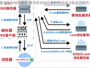 蜜芽新网域名解析-蜜芽新网域名解析的具体过程是怎样的？