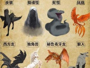 霍格沃兹之遗神奇动物揭秘：探寻隐秘巢穴的魔幻地图指南