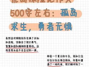 荒岛求生日记：破解风口难关的探险攻略顺序揭秘