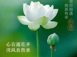 女幸莲花开症状图片(女幸莲花开是什么？症状图片揭秘)