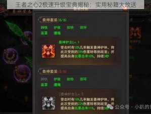 王者之心2极速升级宝典揭秘：实用秘籍大放送