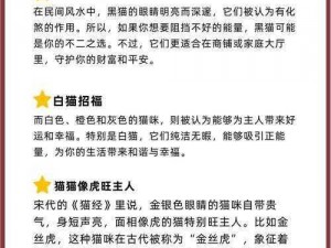 精准如猫：探寻适合做代号的动物魅力与智慧之源