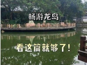 传奇召唤师探秘龙之岛攻略：玩转龙岛探险之旅