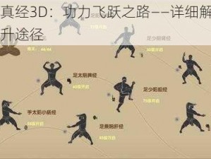 九阴真经3D：功力飞跃之路——详细解析功力提升途径