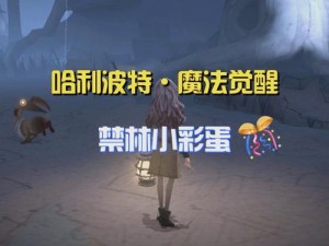 哈利波特魔法觉醒：禁林边缘的秘密与奇遇