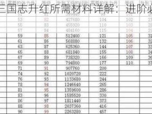 大全少年三国志升红所需材料详解：进阶必备资源指南