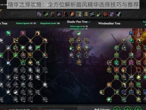 魔兽世界踏风精华选择攻略：全方位解析踏风精华选择技巧与推荐理由深度剖析