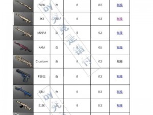 绝地求生手游武器伤害值解析手册：全面了解各类武器的性能与特点