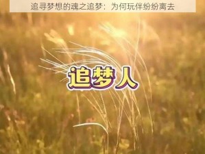 追寻梦想的魂之追梦：为何玩伴纷纷离去