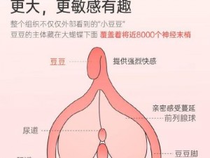 无套破女处苞无套网站：创新设计，让你体验前所未有的快感