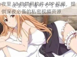 夜里 18 款禁用软件 APP 视频，提供深夜必备的私密视频资源