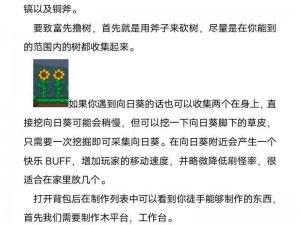 泰拉瑞亚呆呆猫宠物全新获取攻略：步骤详解与注意事项