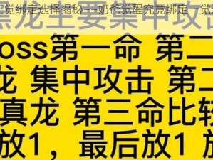 地下城勇士：三觉绑定选择揭秘——奶爸觉醒究竟绑定一觉还是二觉的优劣分析？