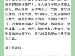 九阴真经武学核心解析：主副套路效能展示与套路切换精髓探讨