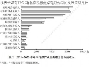 北京视界传媒有限公司(北京视界传媒有限公司的发展策略是什么？)