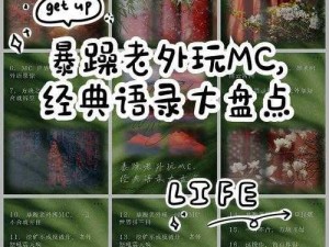 暴躁老外玩minecraft国产更给力、暴躁老外玩国产 Minecraft：更给力的游戏体验