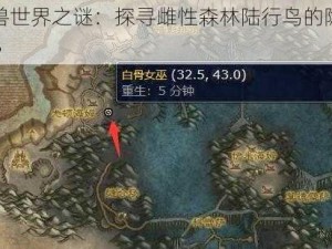 《魔兽世界之谜：探寻雌性森林陆行鸟的隐秘栖息地》