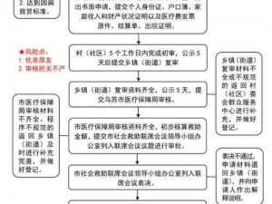 关于孤岛行动内测资格申请流程的全面解析