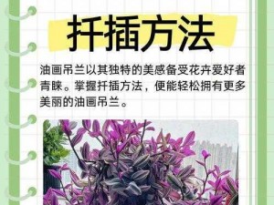 扣水的正确方法（用手）——如何巧妙扣水，让花卉更加美丽