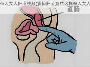 阳茎伸入女人阳道视频(震惊阳茎竟然这样伸入女人阳道)