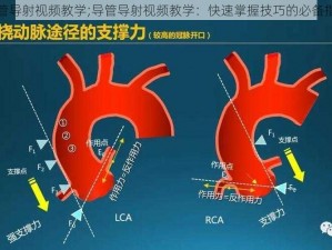 导管导射视频教学;导管导射视频教学：快速掌握技巧的必备指南