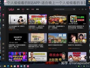 晚上一个人偷偷看的B站APP-适合晚上一个人偷偷看的 B 站 APP