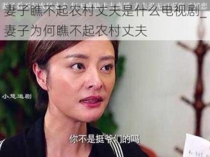 妻子瞧不起农村丈夫是什么电视剧_妻子为何瞧不起农村丈夫