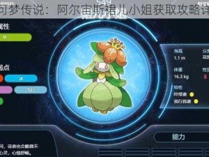 宝可梦传说：阿尔宙斯裙儿小姐获取攻略详解