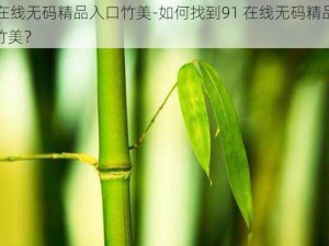 91在线无码精品入口竹美-如何找到91 在线无码精品入口竹美？