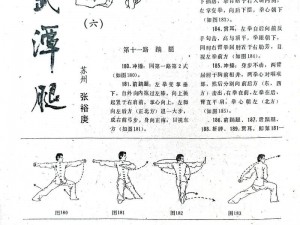 功夫手游武功秘籍奥秘揭秘 玩法独家爆料：揭秘最强武功组合，探索无尽武学境界