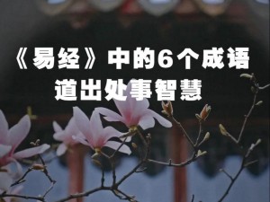 如何破解招贤记326关：寻觅智慧，巧用成语攻克难关