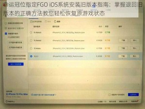 命运冠位指定FGO iOS系统安装旧版本指南：掌握退回旧版本的正确方法教您轻松恢复原游戏状态