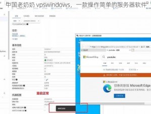 中国老奶奶 vpswindows，一款操作简单的服务器软件