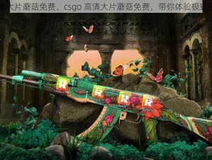 csgo高清大片蘑菇免费、csgo 高清大片蘑菇免费，带你体验极致视觉盛宴