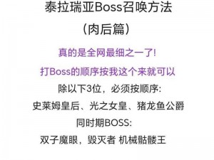 泰拉瑞亚BOSS蜂后召唤攻略详解：全面解析召唤方法与步骤