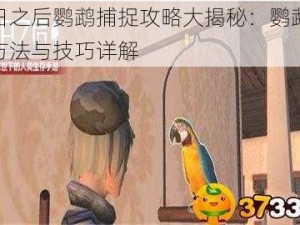 明日之后鹦鹉捕捉攻略大揭秘：鹦鹉获得方法与技巧详解