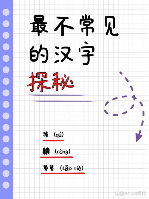 汉字演进探秘：毕圣寻字攻略解析之旅，十四字过关全解