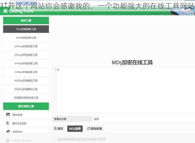 打开这个网站你会感谢我的，一个功能强大的在线工具网站
