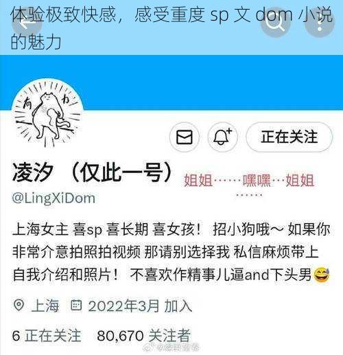 体验极致快感，感受重度 sp 文 dom 小说的魅力