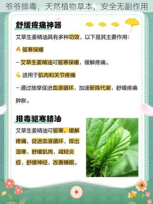 爷爷排毒，天然植物草本，安全无副作用