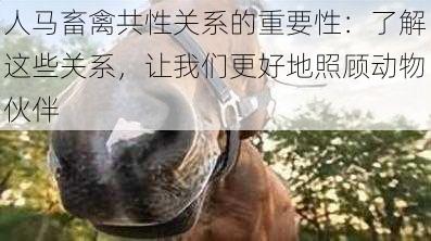 人马畜禽共性关系的重要性：了解这些关系，让我们更好地照顾动物伙伴