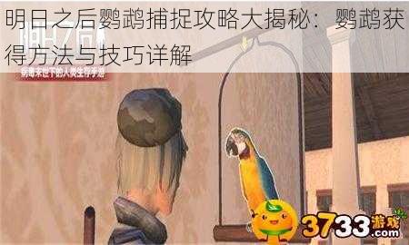 明日之后鹦鹉捕捉攻略大揭秘：鹦鹉获得方法与技巧详解